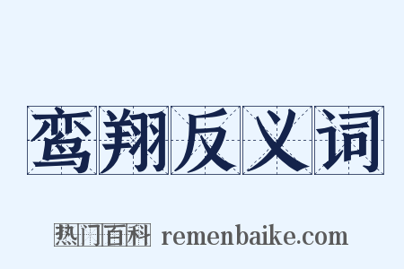 鸾翔反义词是什么意思的图片